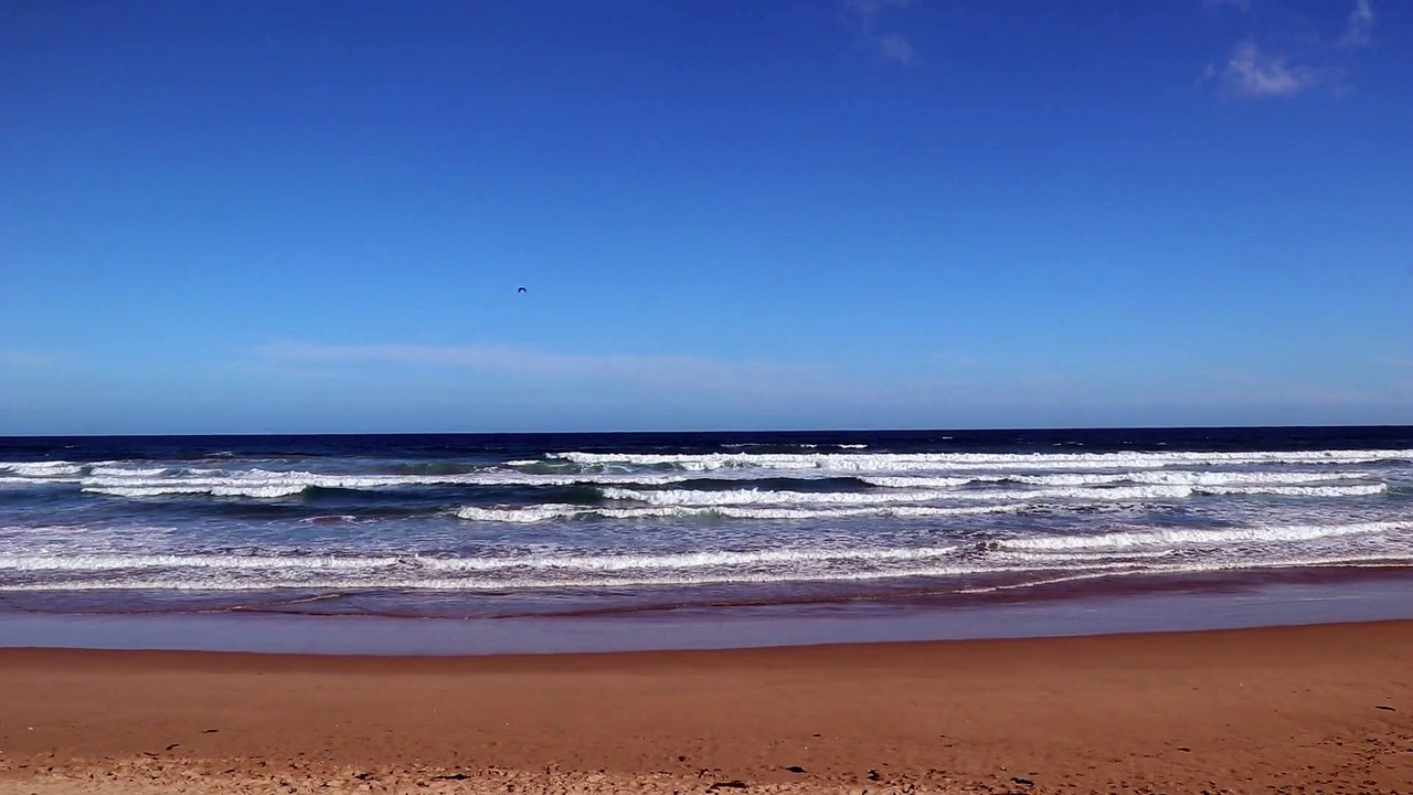 Beach Waves Surf Aerial shot over a sandy coastline natural beautiful royalty Free Stock no copyright video Free for commercial use dron dron aerial view (2)