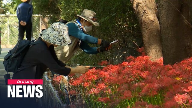 Places in Seoul to enjoy nature while following COVID-19 quarantine rules