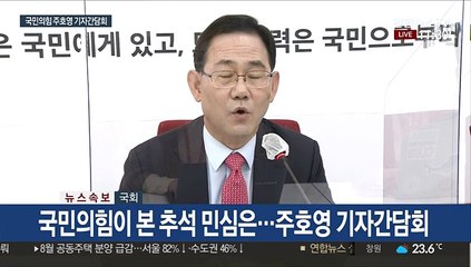 [현장연결] 국민의힘이 본 추석 민심은…주호영 기자간담회