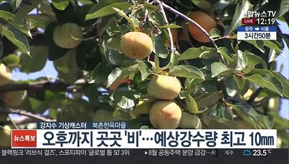 [날씨] 오후까지 곳곳 비소식…점차 찬바람 강해져