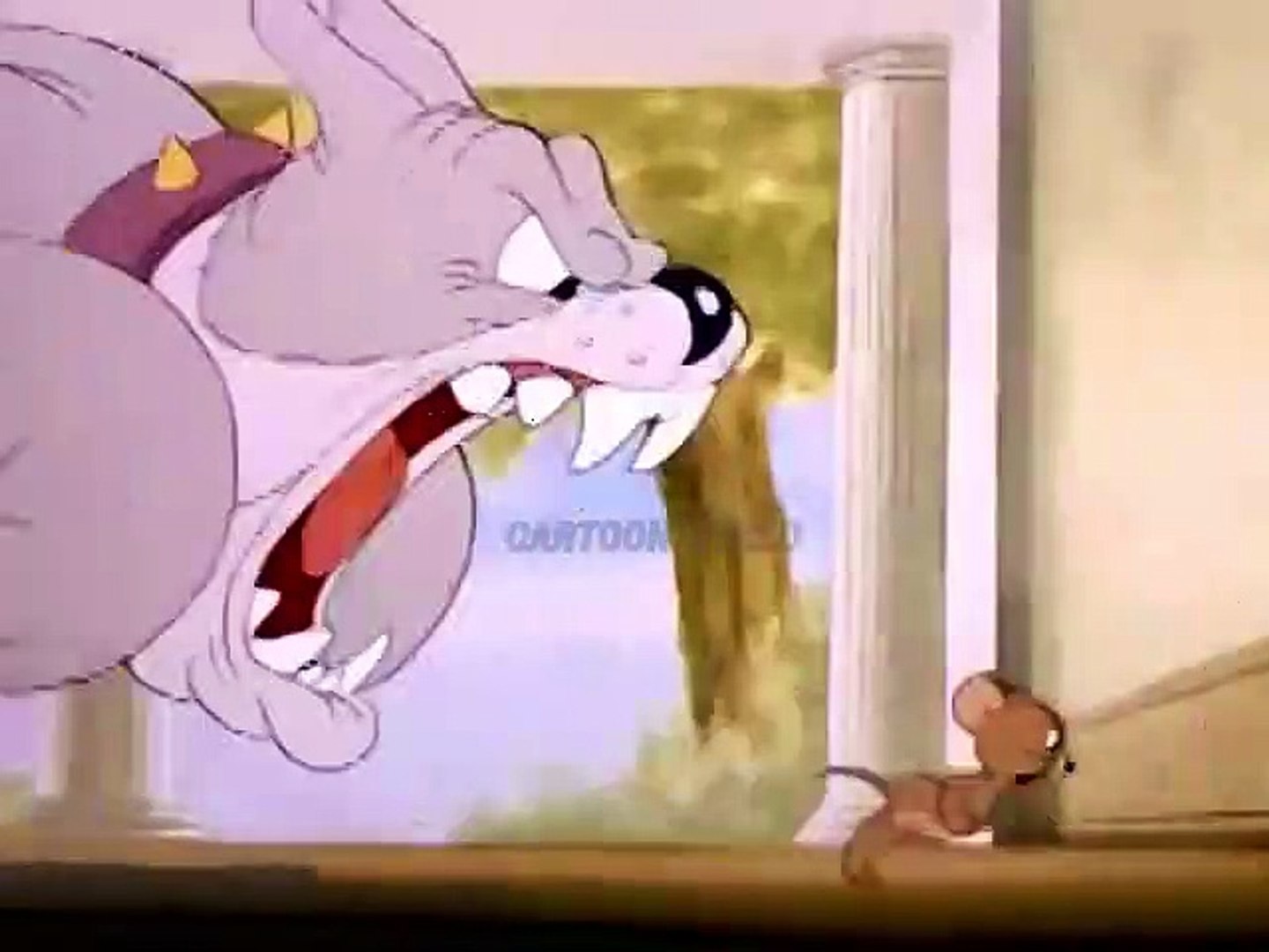 Who is the dog from Tom and Jerry?