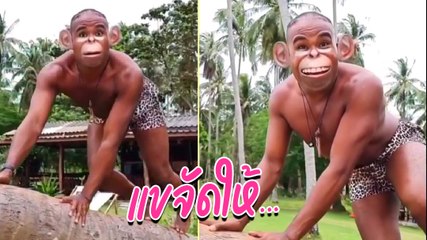 อยากดูพญาวานร ไม่ต้องไปถึงเขาหน่อ รัศมีแข จัดให้