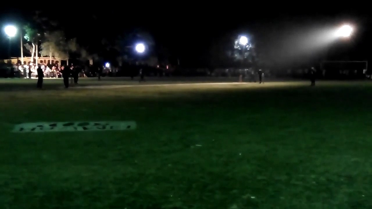 Village night Cricket
