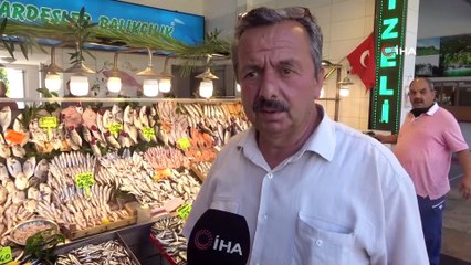 Hamsinin fiyatını gören şaşkınlığını gizleyemiyor