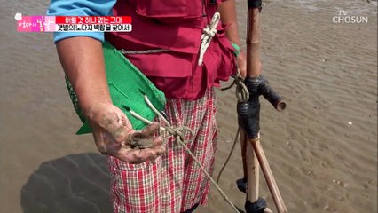 엄마•아빠에게 삶의 터전이 되어준 고마운 갯벌☺