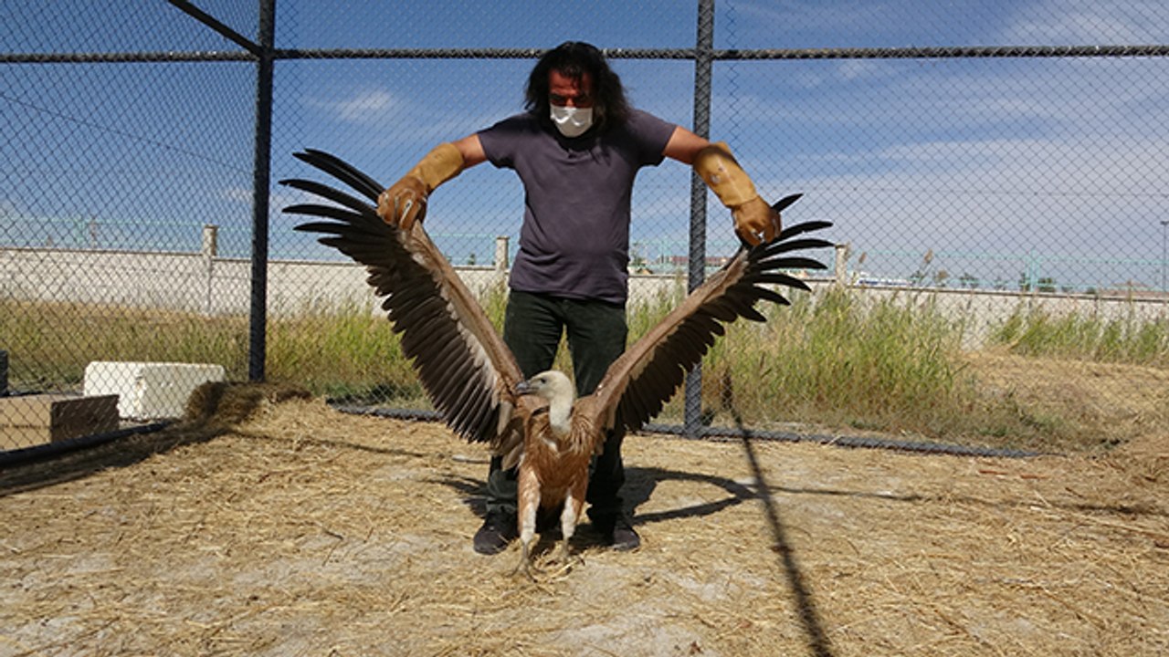 Prof. Dr. Aslan: Çevresini ve hayvanları korumayan insan, kendi sonunu hazırlamıştır