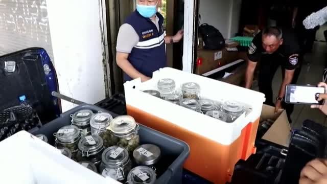 Desmantelan en Tailandia un laboratorio ilegal de cannabis que exportaba droga a Japón