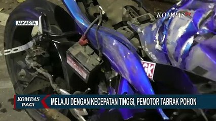 Motor Ngebut Tabrak Pohon, Hilang Kendali Saat Injak Garis Kejut