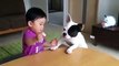Baby And Baby Dog Funny Video | Baby Funny  Videos