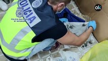 La Policía desmantela la organización vinculada con el envío de 35 toneladas de hachís