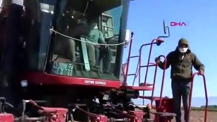 Manisa'da ''beyaz altın'' yüz güldürdü