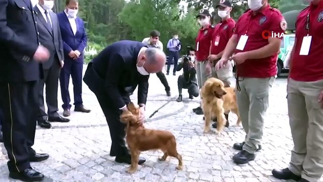 İçişleri Bakanlığı ekipleri hayvan hakları ihlalleri için sahada