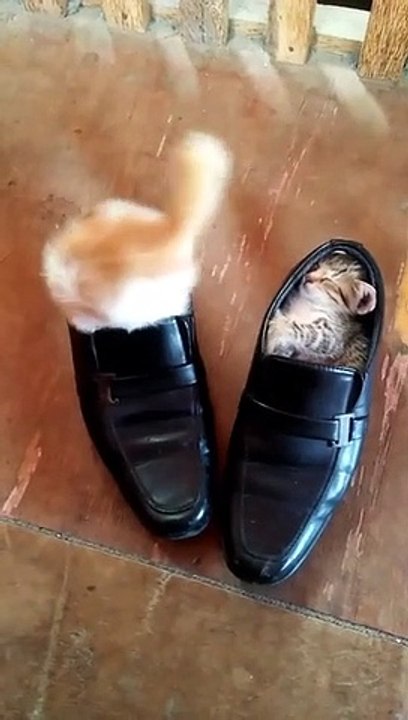 Shoes, comfortable bed