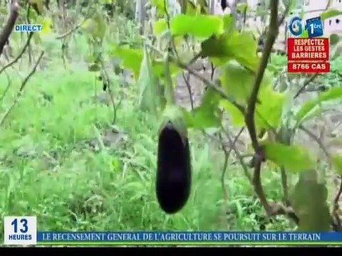 RTG / Agriculture - Opération de recensement general de l’agriculture financé par la Banque Mondiale et la FAO