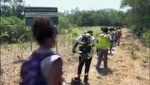 Brésil : des jeunes mobilisés pour reboiser la forêt