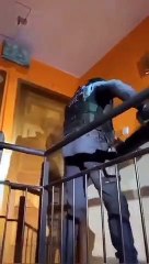 Un montage insolite montrant l’inefficacité d’une équipe d’intervention