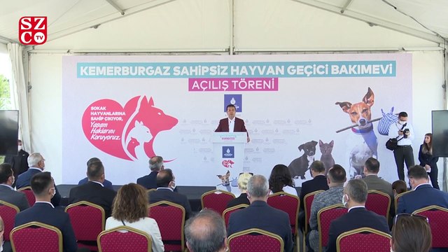 İmamoğlu'ndan bu özel günde çok önemli bir adım: Sahipsiz hayvanlara kucak açtı!