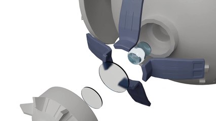 Notstandskomitee - SKU 🎶 Official Music Video | The Quarantine Report