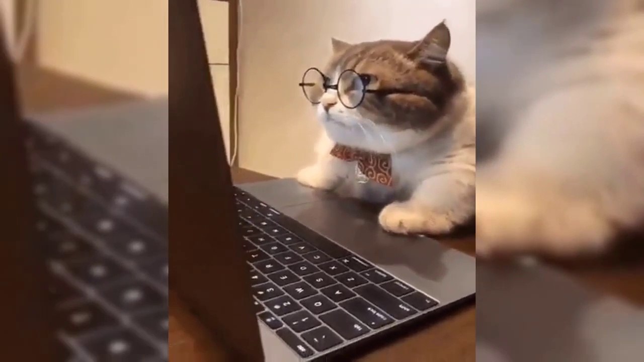 r/gifs || Daily juicy memes | Funny Meme Photos Showing That Daily you laugh | Funny Memes