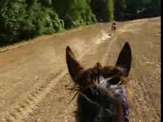 SUPER GALOP, SUPER SOUVENIR...