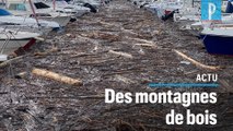 Inondations dans le Sud-Est  : «On a une quantité considérable de bois sur les plages»