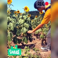 Siapa Sangka di Balik Video ada.......