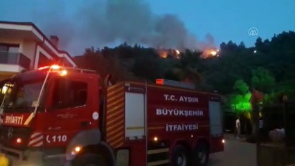 Zeytinlik alanda yangın - AYDIN