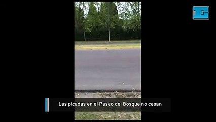 Las "picadas" ilegales no cesan los fines de semana en el Bosque