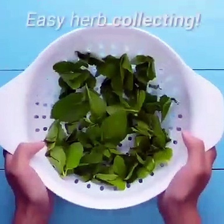 Do it YourSelf Videos 40