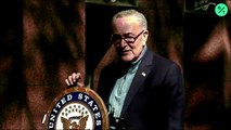 Schumer Says It’s Unsafe to Hold Supreme Court Senate Hearings