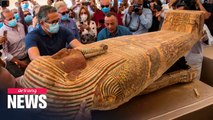 Egypt unveils 59 ancient coffins in major archaeological discovery