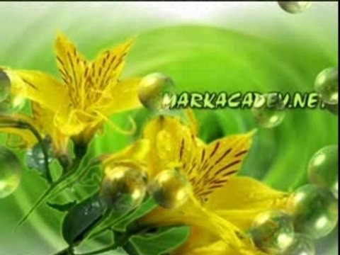 Hees Cusub - New Somali Music