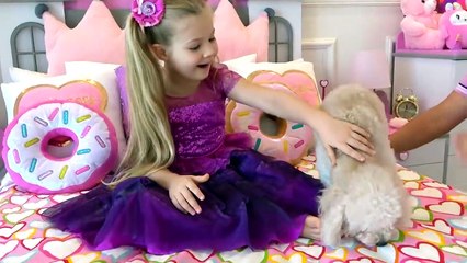 Diana lost her cat and chooses a new pet