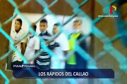 Cae banda delincuencial 