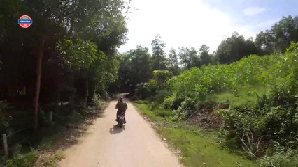 Bắt Lợn Đen Ở Bản Về Làm Thịt