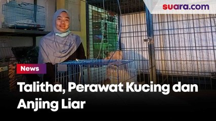 Kisah Talitha, Perawat Kucing dan Anjing Liar di Samarinda