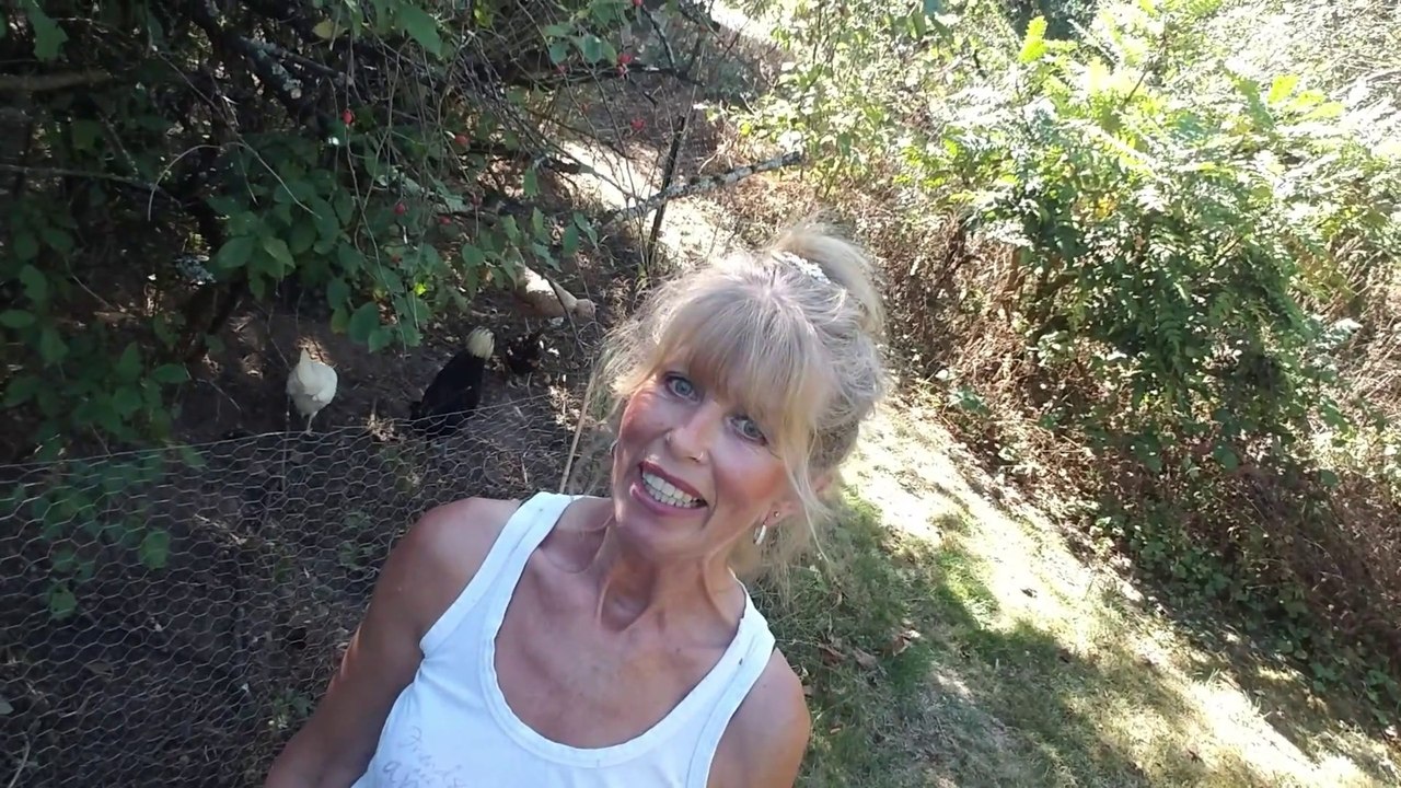 B3 - Chemielose Reinigung, Rote Vogelmilbe, Stallhygiene, Staubbad