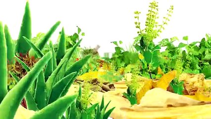 Ayurveda,  INTRODUCTION, TO OJAS