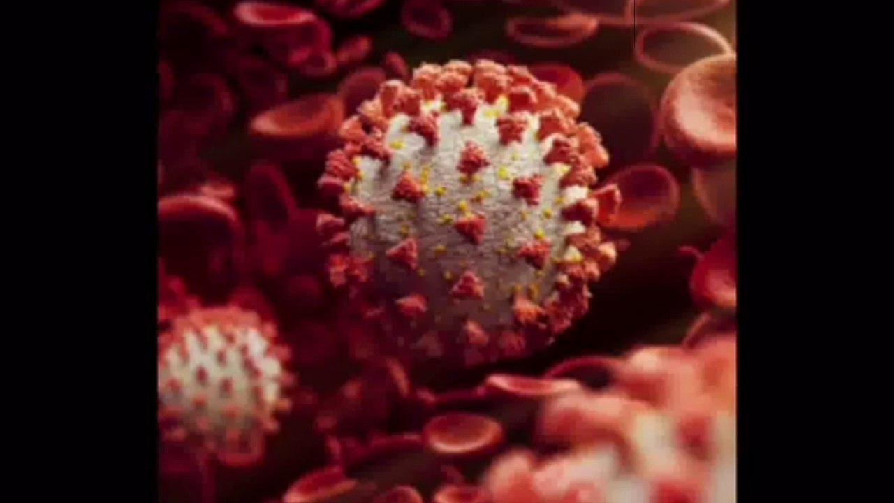 Coronavirus News Update Today in West Bengal.