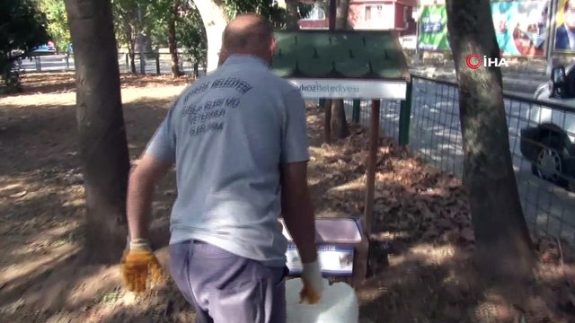 Beykoz Belediyesi 4 Ekim Hayvanları Koruma Gününde sokak hayvanlarını unutmadı