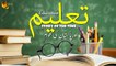 Education | Sachchayian | Pakistani Short Film | New Pakistani Movies 2020 | HD | Best Moral Story