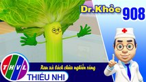 Dr. Khỏe - Tập 908: Rau xà lách chữa nghiến răng