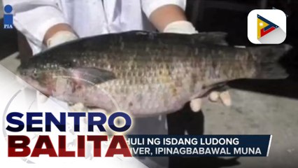 Panghuhuli ng isdang ludong sa Cagayan River, ipinagbabawal muna