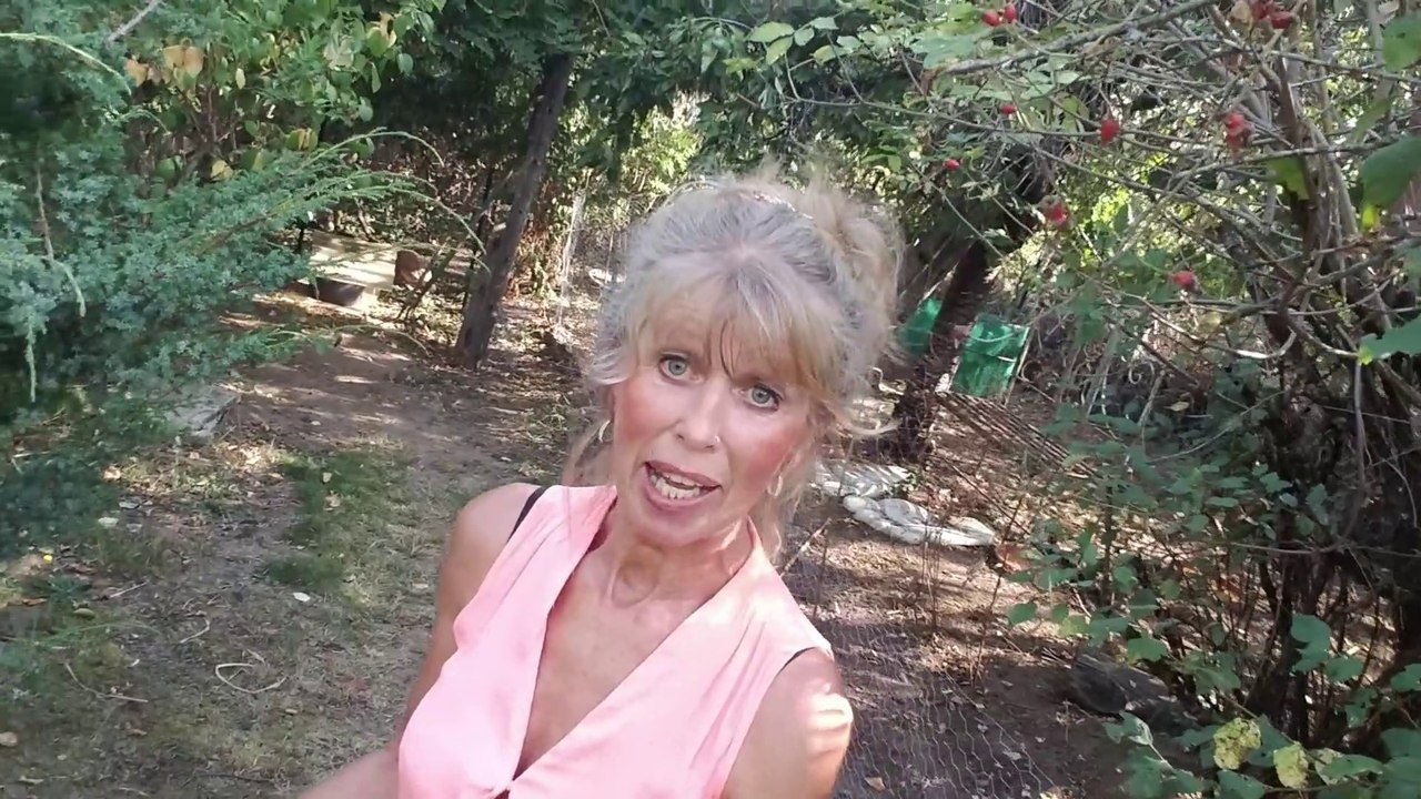 B4 - Mein Hühnergehege! Wieviel Platz brauch ein Huhn?