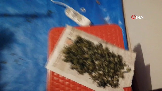 Uyuşturucu yetiştirmek için evi laboratuvara çevirmiş