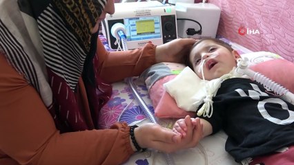 Efe bebeğin tedavisi için 2.2  milyon dolar gerekli