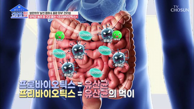 내 몸속 장 건강 지켜주는 ❛이것❜의 정체!! #광고포함