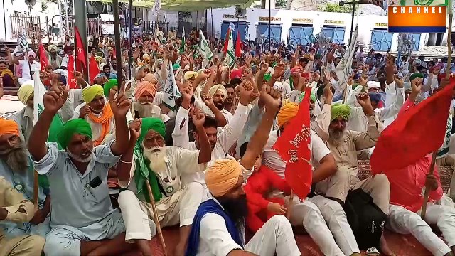 ਆਹ ਦੇਸੀ ਜੱਟਾਂ ਨੇ ਮੋਦੀ ਨੂੰ ਦਿੱਤੀ ਵੱਡੀ ਚੇਤਾਵਨੀ, ਗਲ 'ਚ ਰੱਸਾ ਪਾਕੇ ਖਿੱਚਕੇ ਲਿਆਵਾਗੇਂ ਪੰਜਾਬ