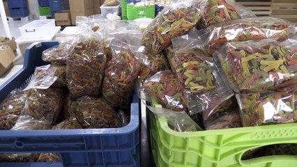 Kadın girişimci, 'atalık' tohumlardan düşük glütenli makarna üretiyor - BALIKESİR