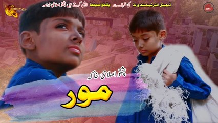 Moor | Pashto Dubbed Short Film | Best Pashto Film | Pashto Cinema